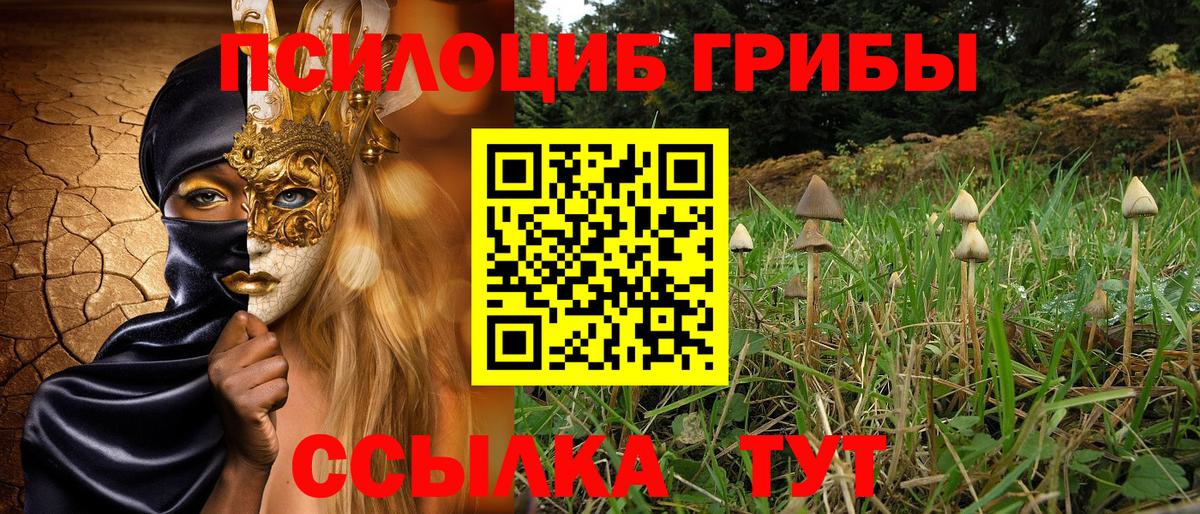 Псилоцибиновые грибы мицелий  Вход с VPN  Можайск 